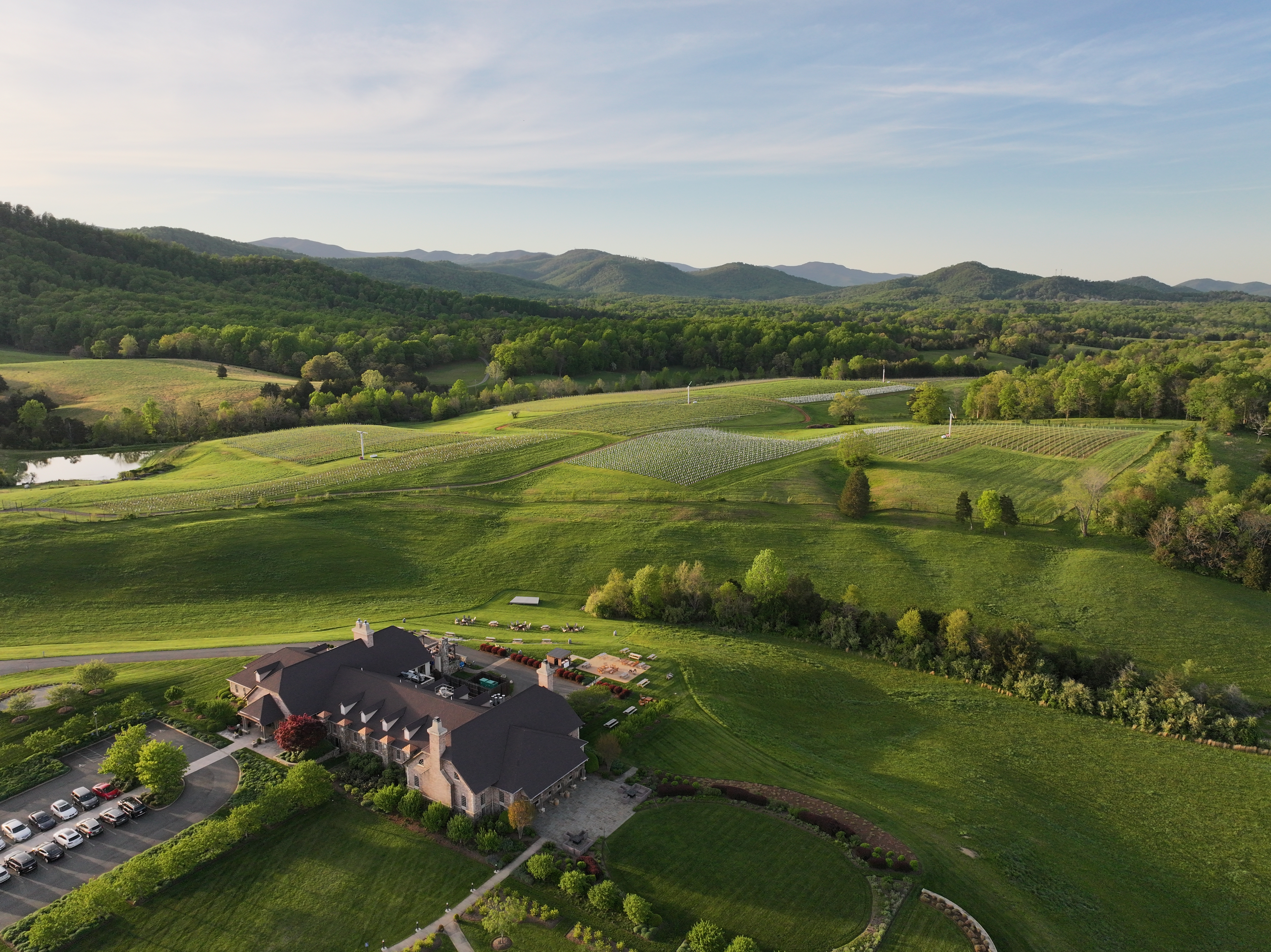 View across Early Mountain Vineyards toward the Blue Ridge foothills in Madison, Virginia