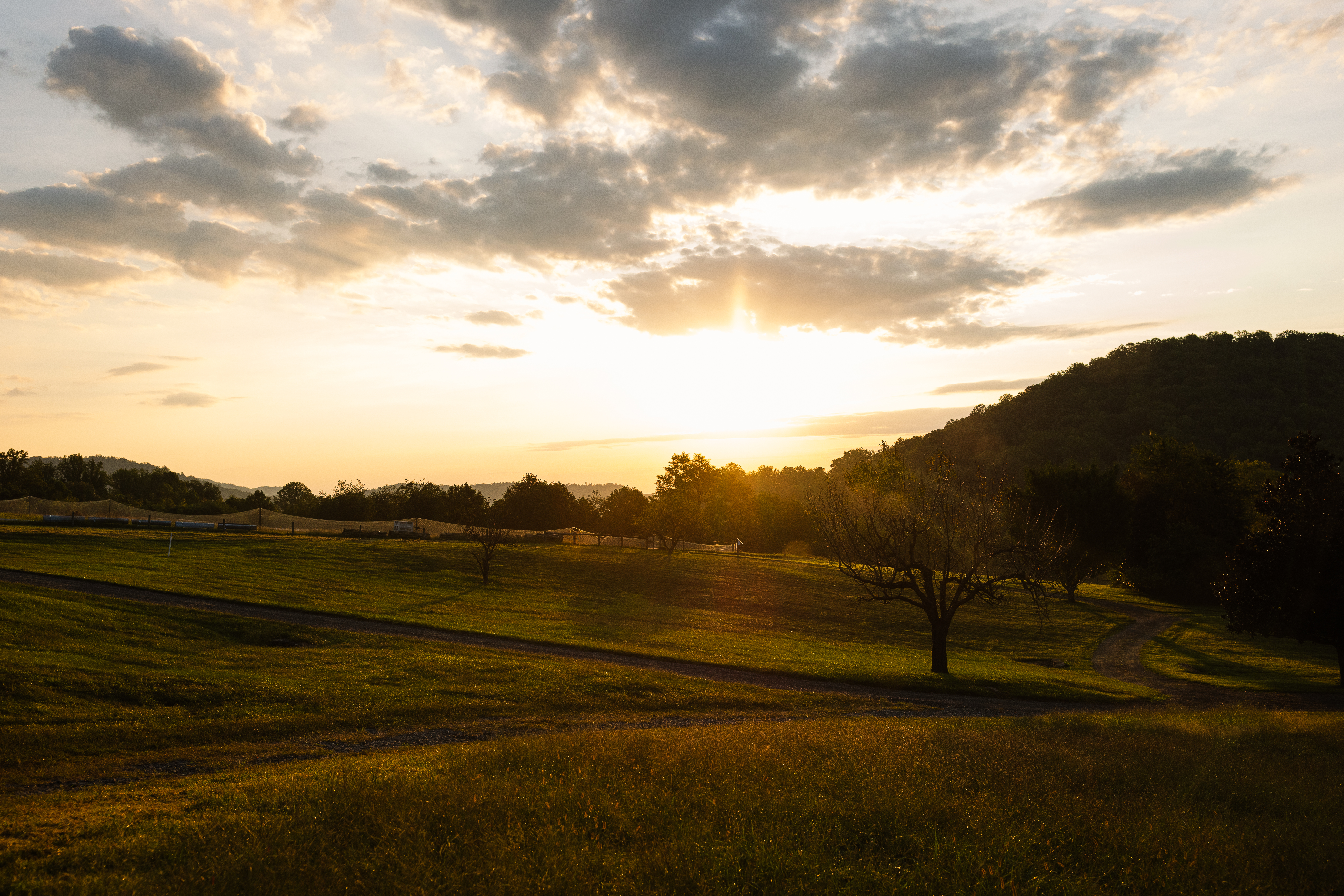 Early Mountain's vineyards in the Blue Ridge foothills of Madison County, Virginia