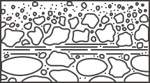 soils